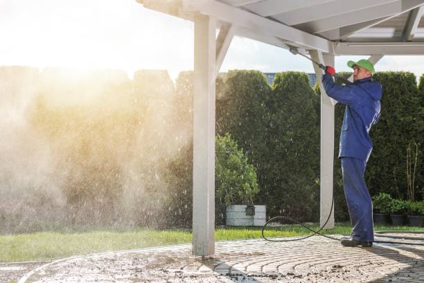 Best Solar Panel Cleaning  in Lafayette, TN